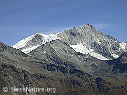 F007114: Bishorn, Tete de Milon und Weisshorn
