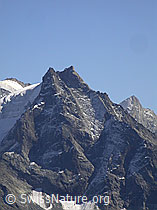 F007172: Corne de Sorebois: Besso