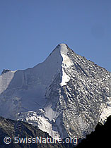 Foto: Obergalbelhorn