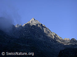 F007218: Morgentliche Nebelschwade bei Helsenhorngruppe