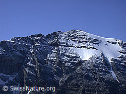 F007237: Gipfel des Helsenhorn