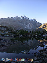 F007339: Frühmorgendliche Spiegelung in Bergsee
