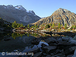 F007378: Frühmorgentliche Spiegelung herbstlicher Berglandschaft