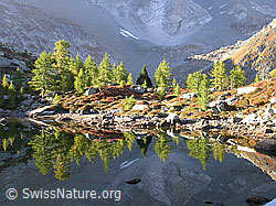 F007380: Herbstlandschaft mit Spiegelung in Bergsee