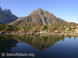 F007381: Die Pyramide des Stockhorns spiegelt sich im ruhigen Mässersee