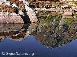 F007385: Morgendliche Spiegelung im Mässersee
