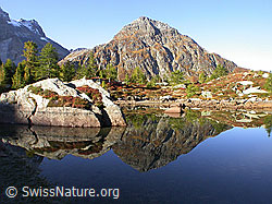 F007386: Spiegelbild einer Berglandschaft in stillem Bergsee