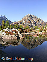 F007389: Spiegelbild einer Berglandschaft in ruhigem Bergsee