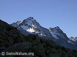 F007395: Hotäl: Schwarzhorn und Fleschhorn