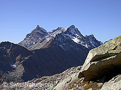 F007399: Scherbadung, Punta Gerla, Schwarzhorn und Fleschhorn.