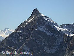 F007433: Scherbadung