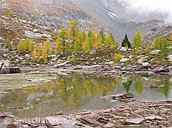 F007528: Herbststimmung am Mässersee