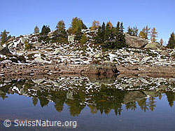 F007666: Herbst am Bergsee