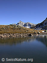 F007835: Gefrorener Bergsee mit schwacher Spiegelung