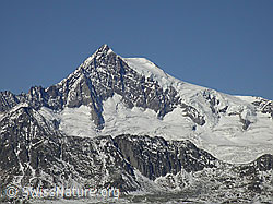 F007848: Aletschhorn