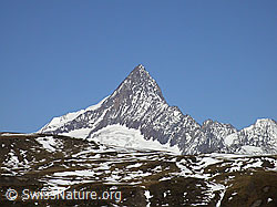 F007849: Finsteraarhorn