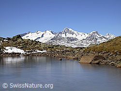 F007861: Zugefrorener Schaplersee und Berner Alpen