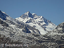 F007913: Mälche: Jungfrau