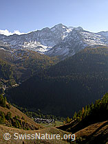 F008018: Tiefblick auf Imfeld, Binntal