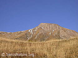 F008024: Herbstliche Alpweide, Gross Fülhorn, blauer Himmel