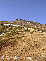 F008036: Steilhänge zum Chli Füllhorn