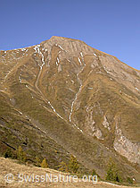 F008040: Grosses Fülhorn.
