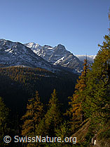 F008126: Sännewäg: Hockbode, Helsenhorn und Vordere Helse
