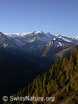 F008133: Föhnwalze beim Hillehorn