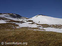 F008168: Wegweiser und Schneefeld am Eggerhorn