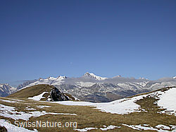 F008214: Nordgipfel Eggerhorn: Berner Alpen