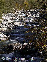 F008305: Binna bei Imfeld