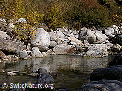 F008308: Ruhige Binna mit wenig Wasser