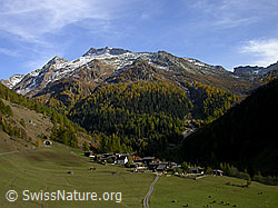 F008423: Dorf Imfeld, Lengenbach, Gorb und Schinhörner