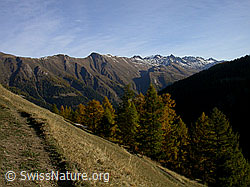 F008447: Rufibort: Lengtal und Binntal