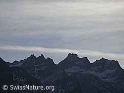 F008465: Scherbadung-Massiv (Punta Devero, Gischihorn)