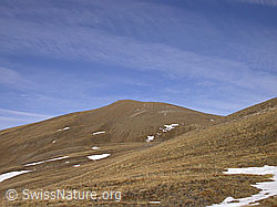 F008475: Herbstlich gefärbte Landschaft im Aufstieg zum Breithorn