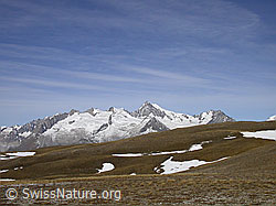 F008479: Breithorn, Binntal: Herbstfarben, Geisshorn, Aletschhorn