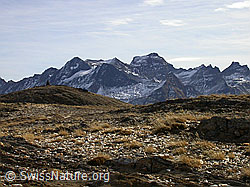 F008500: Breithorn, Binntal: Urtümliche Gebirgslandschaft