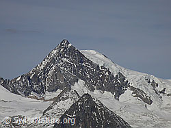 F008506: Aletschhorn