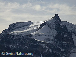 F008512: Hillehorn, Wallis