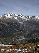 F008523: Breithorn: Tiefblick auf Fiesch und zu den Berner Alpen