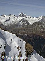 F008527: Felssporn mit Schnee, Geisshorn, Aletschhorn