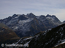 F008550: Felsmassiv Schwarzhorn, Scherbadung, Gischihorn