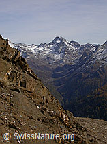 F008566: Breithorn: Binntal, Ofenhorn