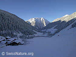 F008822: Imfeld, das tief verschneite Binntal und das Breithorn