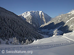 F008833: Frische Winterlandschaft mit Spur, Berg, Baum, Wald