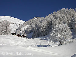 F008839: Weiler mit Chalets in tief verschneiter Berglandschaft