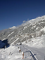 F008856: Spur von Skiern in Winterlandschaft