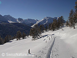 F008947: Skispur in winterlicher Bergwelt im Binntal