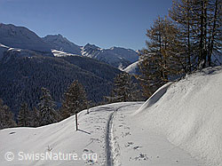F008964: Kurve einer Skispur in schneebedeckter Berglandschaft